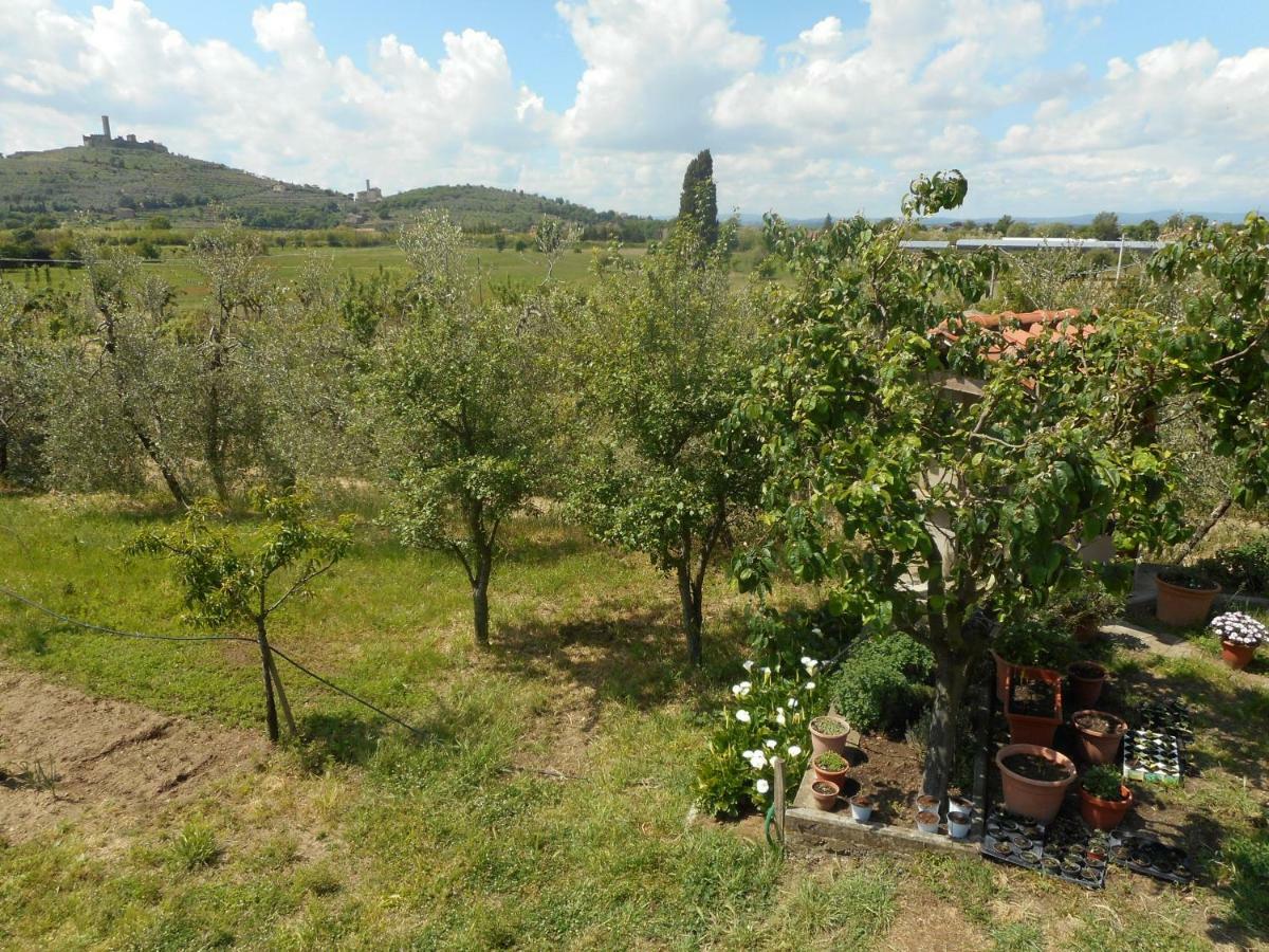 Poggio Fiorito Apartment Castiglion Fiorentino Bagian luar foto