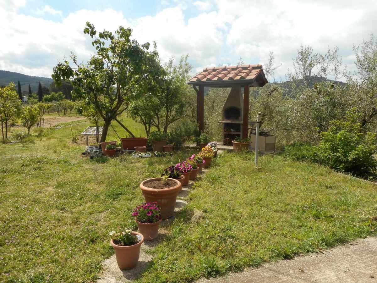 Poggio Fiorito Apartment Castiglion Fiorentino Bagian luar foto