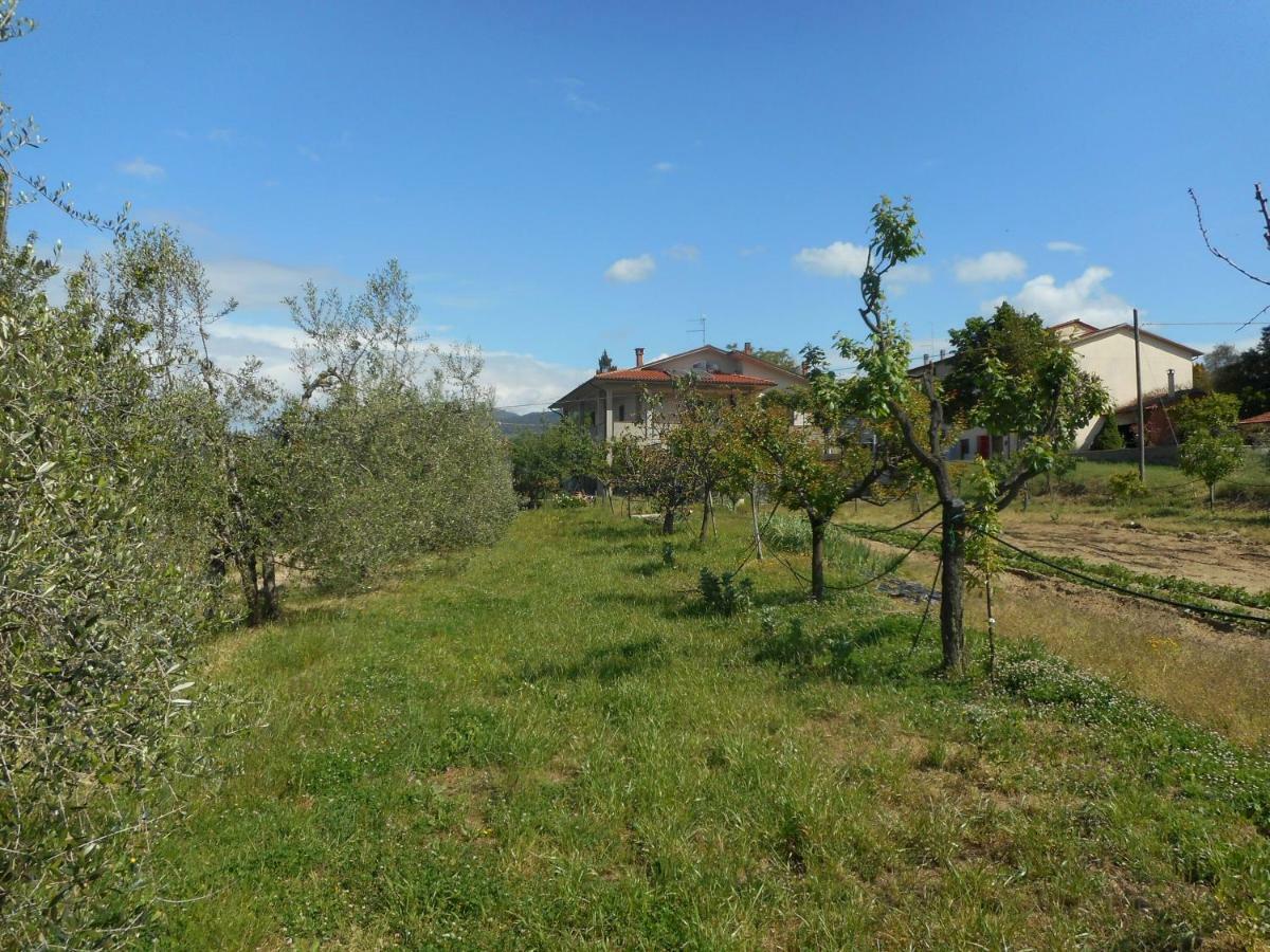 Poggio Fiorito Apartment Castiglion Fiorentino Bagian luar foto