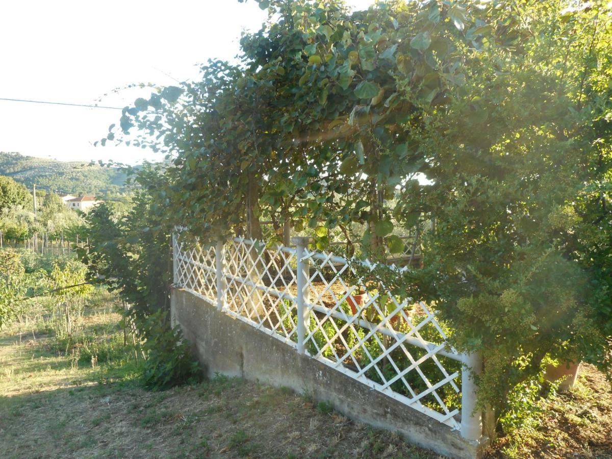 Poggio Fiorito Apartment Castiglion Fiorentino Bagian luar foto